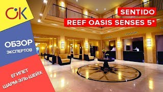 Sentido Reef Oasis Senses 5 ЕГИПЕТ Шарм эль Шейх обзор и отзыв об отеле