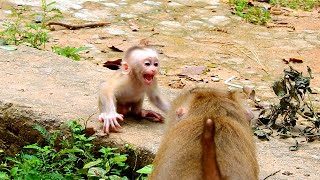 Why Mummy...???? by Wild Monkey 780 views 7 months ago 18 minutes