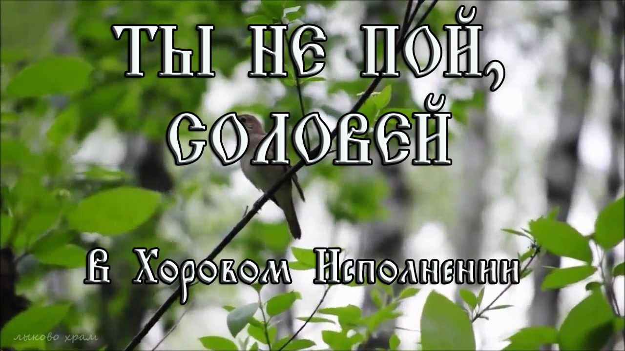 Ты не пой соловей под моим окном. Ты не пой Соловей возле кельи моей.