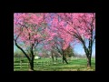 Miniature de la vidéo de la chanson Phaedra's Meadow
