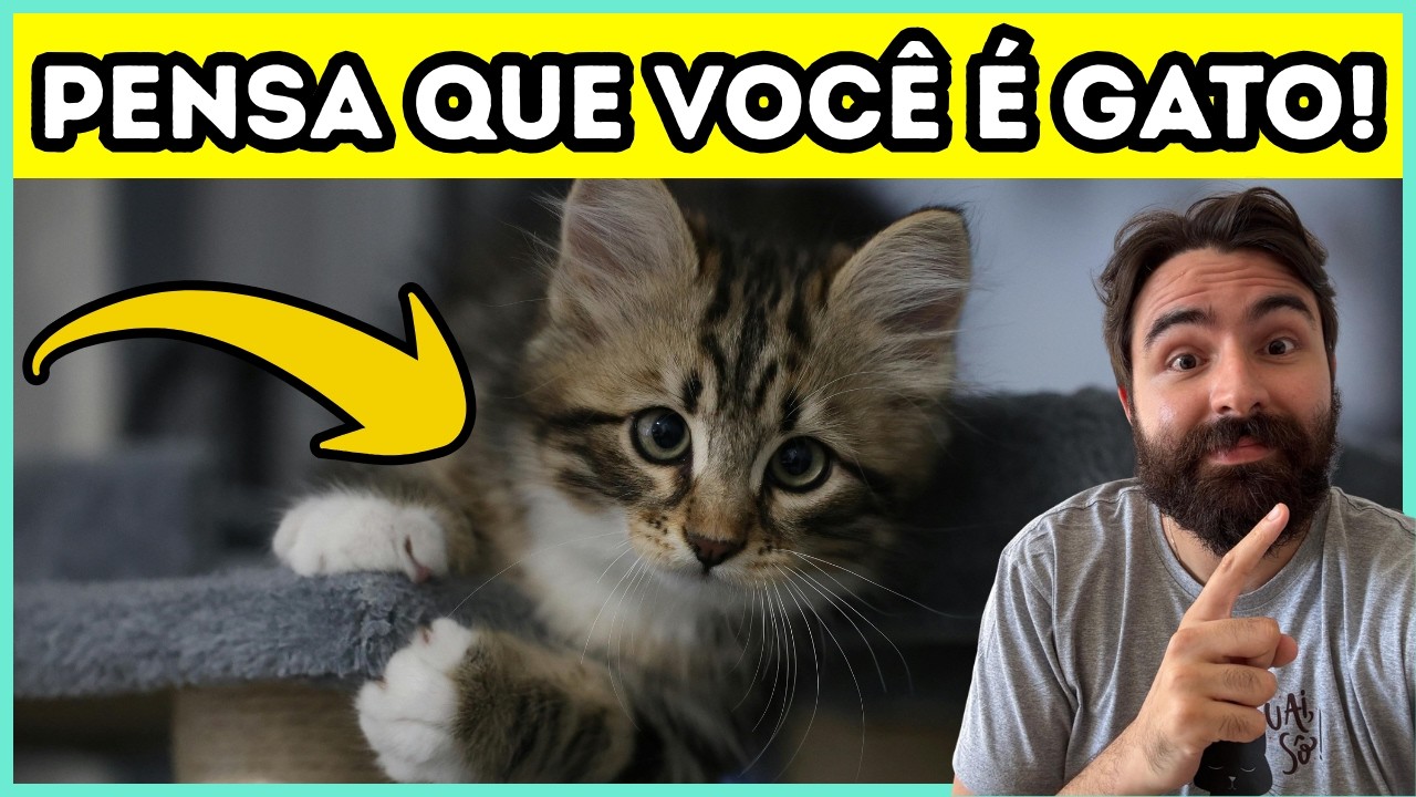 Quando Você Faz Essas 7 Coisas, Seu Gato Te Enxerga Como OUTRO GATO!