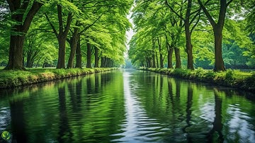 Beautiful Relaxing Music - Stop Overthinking, Stress Relief Music, Sleep Music, Calming Music #7