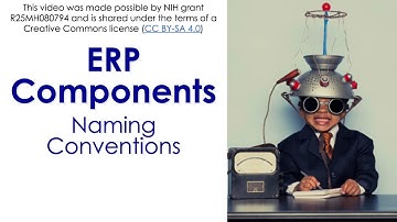 ERP Components 2-  Naming Conventions