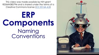 ERP Components 2-  Naming Conventions