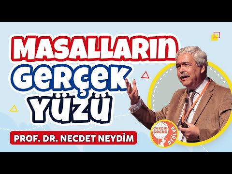 Masalların Gerçek Yüzü - Prof. Dr. Necdet Neydim