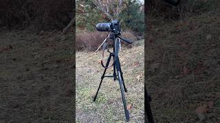 Canon R7 + RF 100-400 | Extreme Zoom Test!! 😱🔥#nature #wildlife