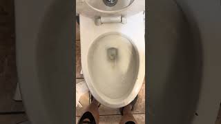 American Standard Afwall at Kroger in Galveston OCC - Plumbing