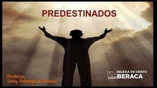PREDESTINADOS | Pastora Suly Arteaga de Bravo | domingo 17/05/26