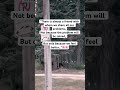 Send this to that one friend❤️ #friends #canada #india #quotes #shorts #shortvideo #friendshipgoals