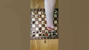 Exploding Kittens Chess #chess #chessgame #explodingkittens #shorts