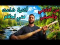 وترة وتار أغنية ضاعت مني لحلام Watra Wtar Oghniyat Da3at Mani Lahlam 