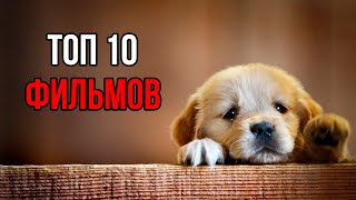 10 фильмов про кошек и собак