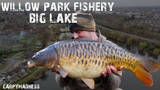 Willow Park Fishery - Carp Fishing