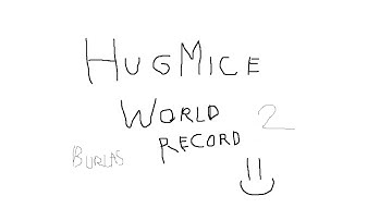 Hugmice World Record #2