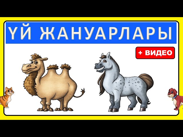 Хардкор ауызша порно видео онлайн Мобильді порно видео HD