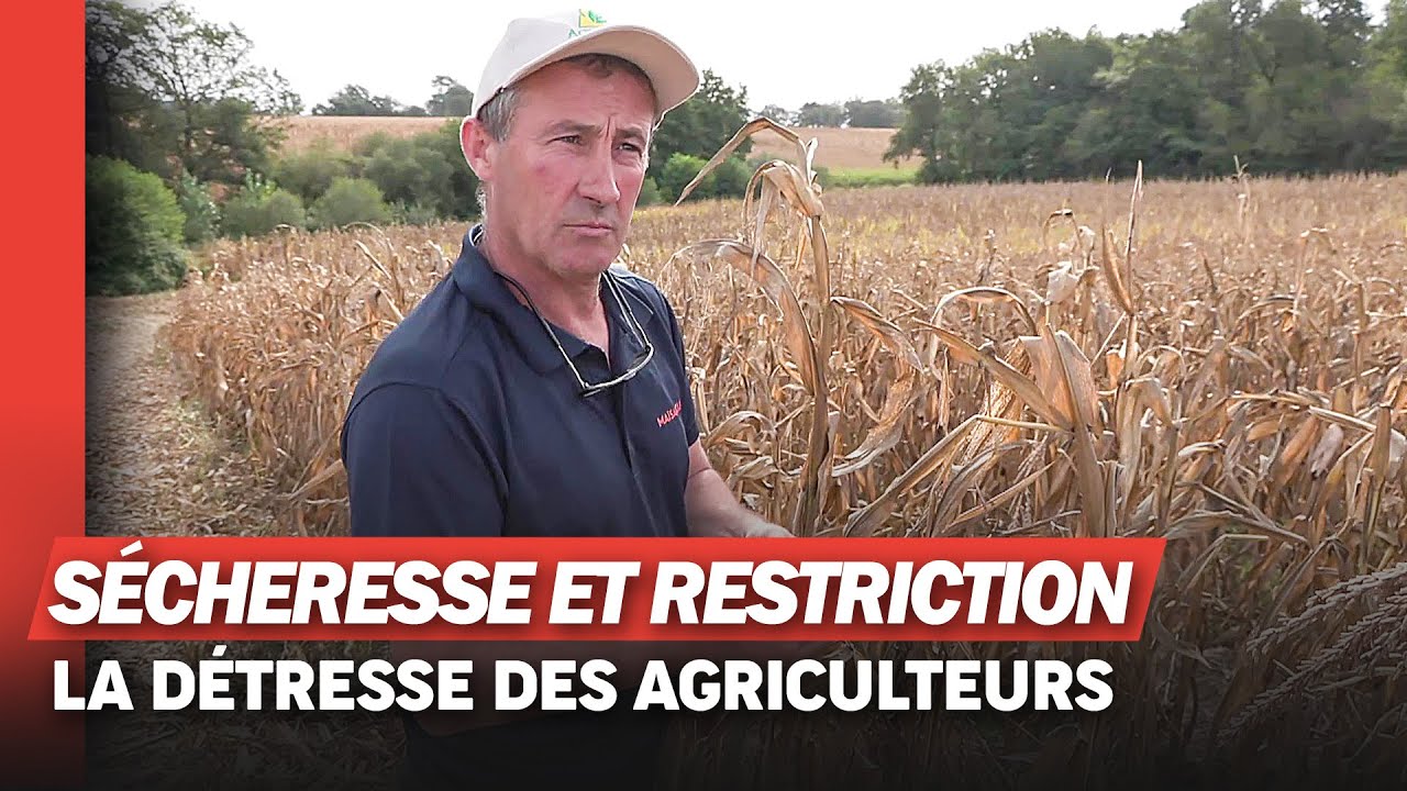 Agriculteurs en colère : la lutte pour survivre