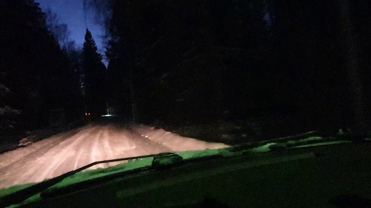 Сверчки в машине