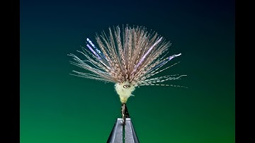 Tying a CDC Comparadun dry fly with Barry Ord Clarke