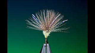 Tying a CDC Comparadun dry fly with Barry Ord Clarke
