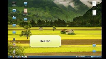 How to change system language in Linux Mint 17 ?