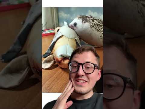 Обзор отзывов на ХРЕНОБУСА