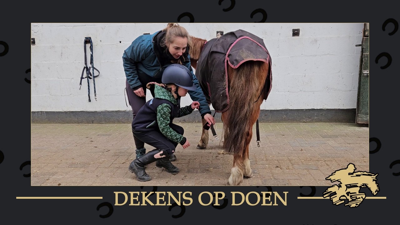 [Hoe?] doe je een paardendeken op?