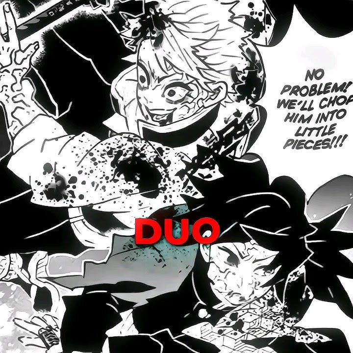 Best duo in ds | Demon slayer manga edit