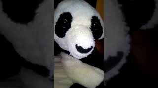 Annoying Panda The Swear Word.