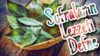 Sofralarin Lezzeti̇ Defne Laurus Nobilis
