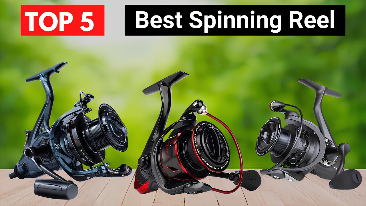 best value coarse fishing reels Fishdrops Spinning 12+1BB Ultra Lightweight Spinning Reel Carved Aluminum Spool Affordable Smooth Reels : Sports & Outdoors performance machined reels Best Fishing Reels 2021 |