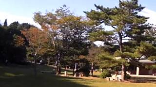 Funcopter Multiplex helicopter 2013/10/02