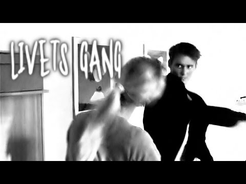Livets Gang