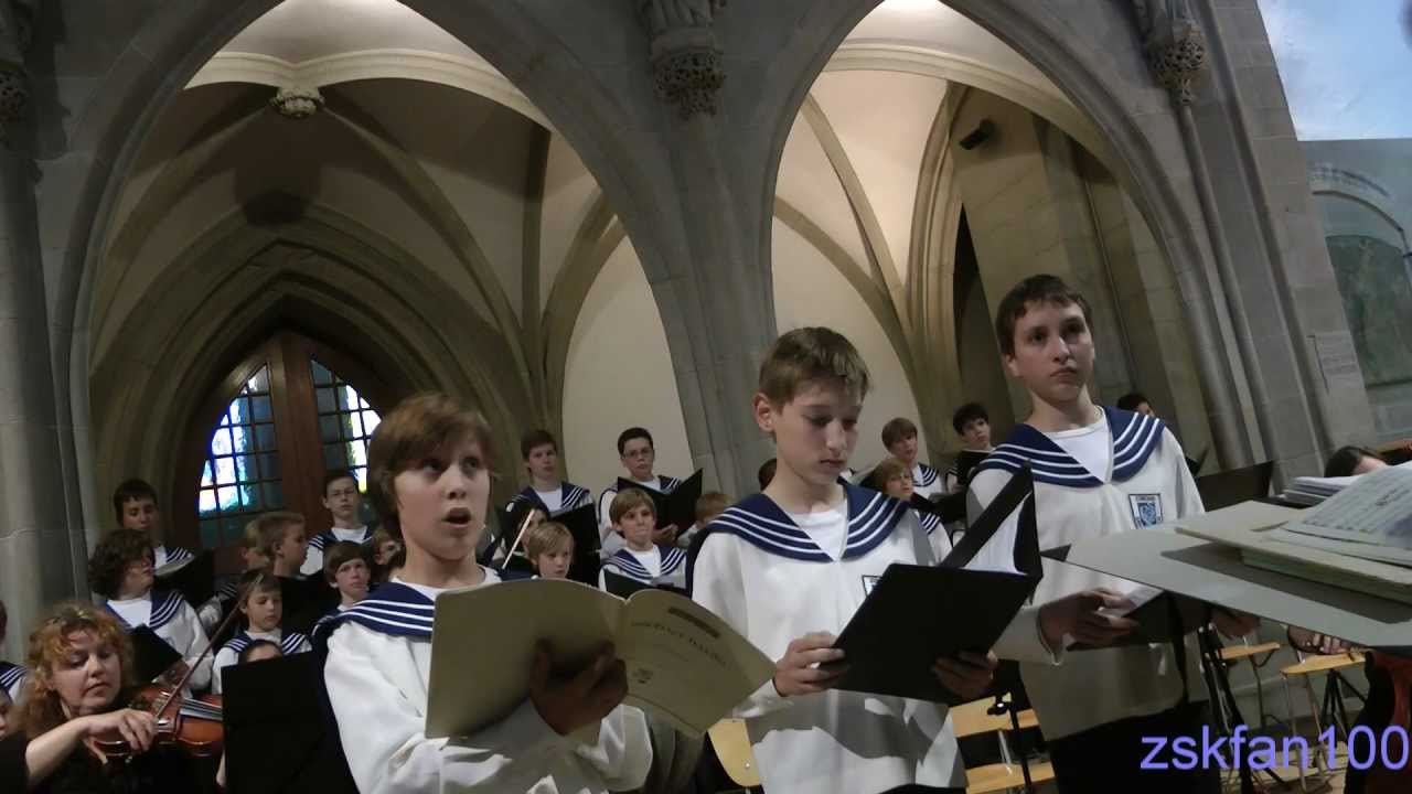 Zürcher Sängerknaben (July 1, 2011) Michael Haydn, Anima nostra