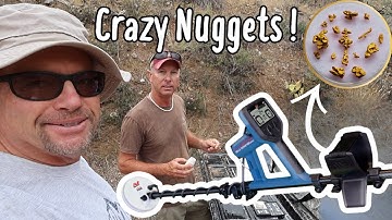 Minelab Gold Monster 2000 Stacked Against The Smallest Gold  We Could Find.