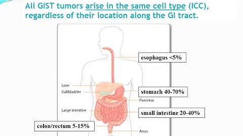 GIST 101: Understanding the Basics and Biology Behind GIST