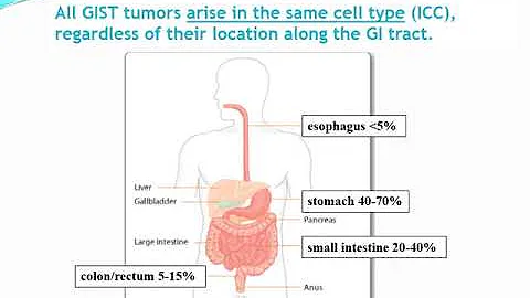 GIST 101: Understanding the Basics and Biology Beh...