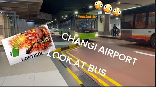 FOTO BUS AT CHANGI AIRPORT WOWOWOOW