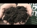 Food Composting