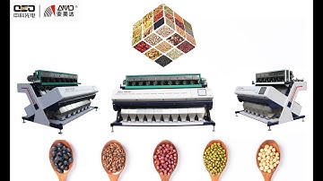 corn color sorting machine,optical sorting equipment for corn seeds