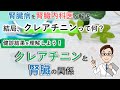 結局、クレアチニンって何？クレアチニンと腎臓の関係を理解しよう【腎臓内科医が解説】