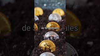 El increíble efecto de dar propinas y cobrar en Bitcoin 🤯📈. #bitcoinismo #bitcoin #dinero #sueldo