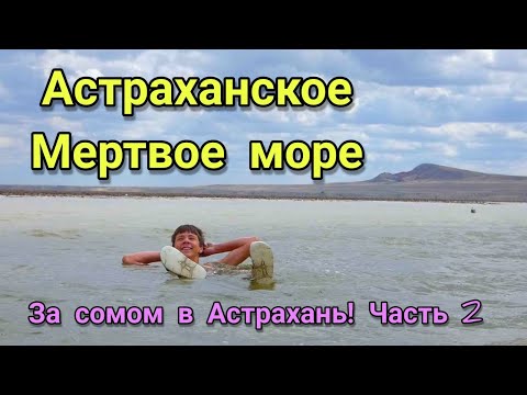 Video: Qhov Twg Mus Nyob Rau Hauv Astrakhan