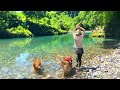 川(楽園)で大はしゃぎするワンコ達が可愛すぎるww