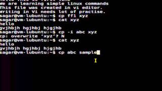 How to copy files in Linux Shell terminal