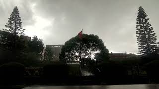 Power Nap Perfection: 30 Minutes of Blissful Rainfall Sounds to Revitalize Your Mind and Body .