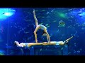 Aquarium Underwater Ballet: Group Performance Skills 🌊