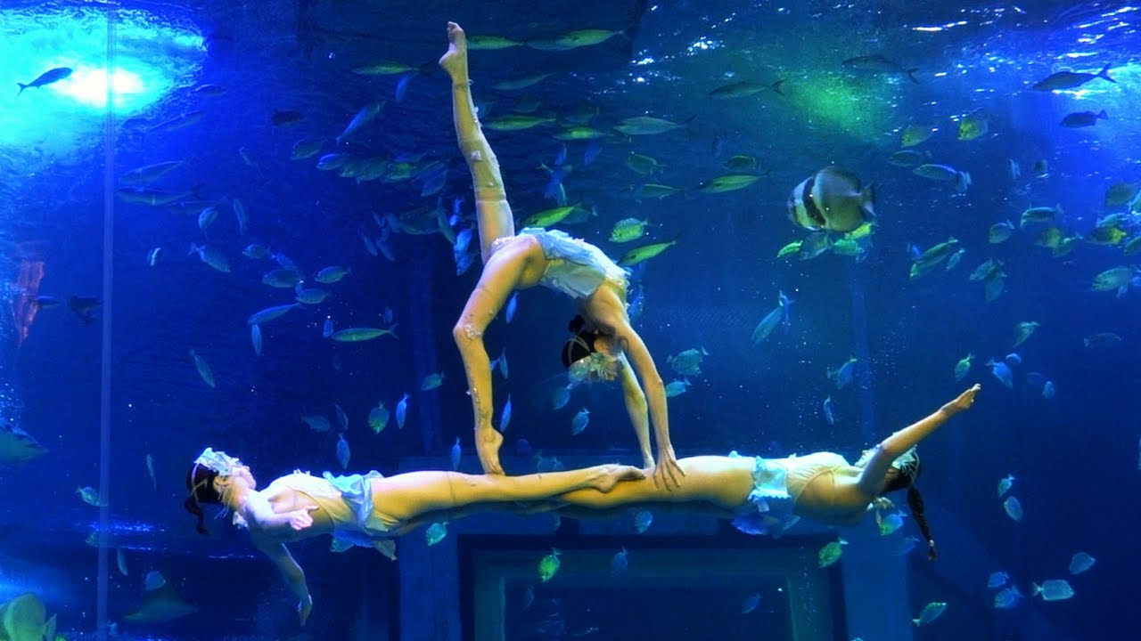 Aquarium Underwater Ballet Skills: Group Connections - YouTube