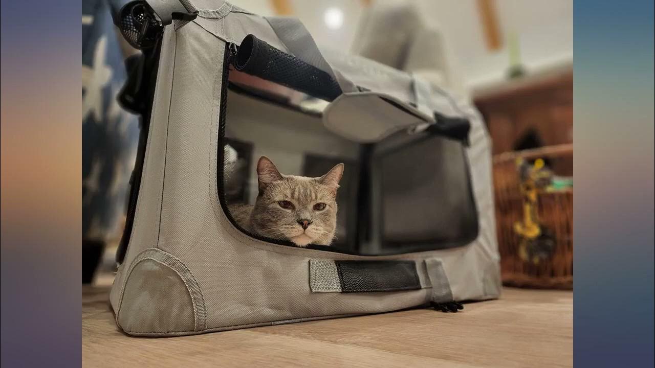 Petseek Extra Large Cat Carrier Soft Sided Folding Small Medium Dog Pet