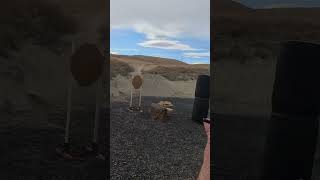 MPA DS9 USPSA Washington State Championship 2026 Stage 5