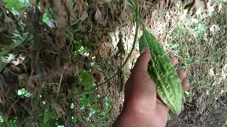 Krlay Torny Ka New Treqa Bra Maza A Gya Ah To My 2Nd Vlogs